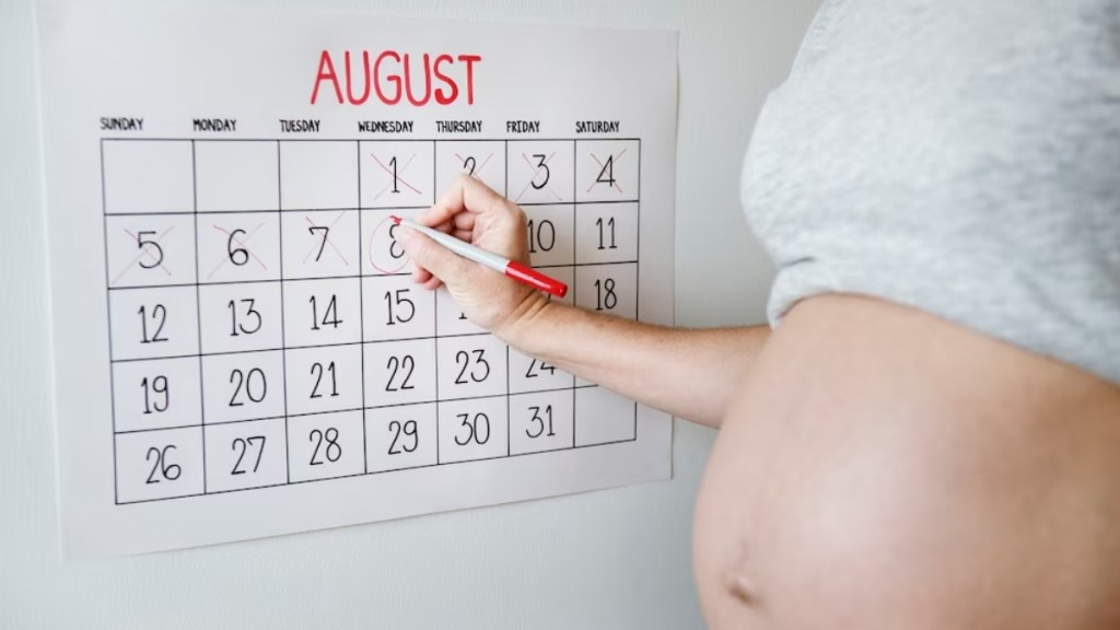 Pregnancy Planning 
