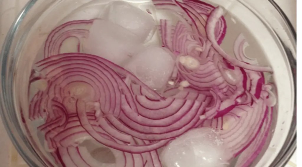  onion in water