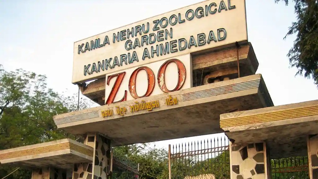 Kamala Nehru Zoo