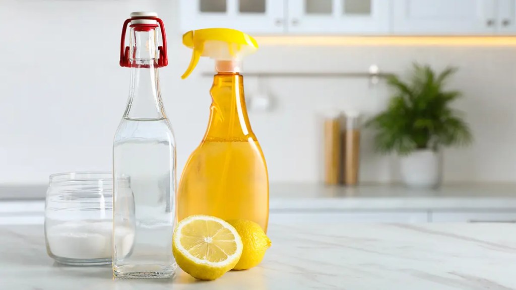 Smart Cleaning Tips
