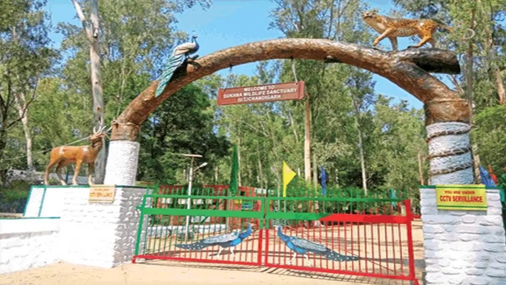 Sukhna Wildlife Sanctuary