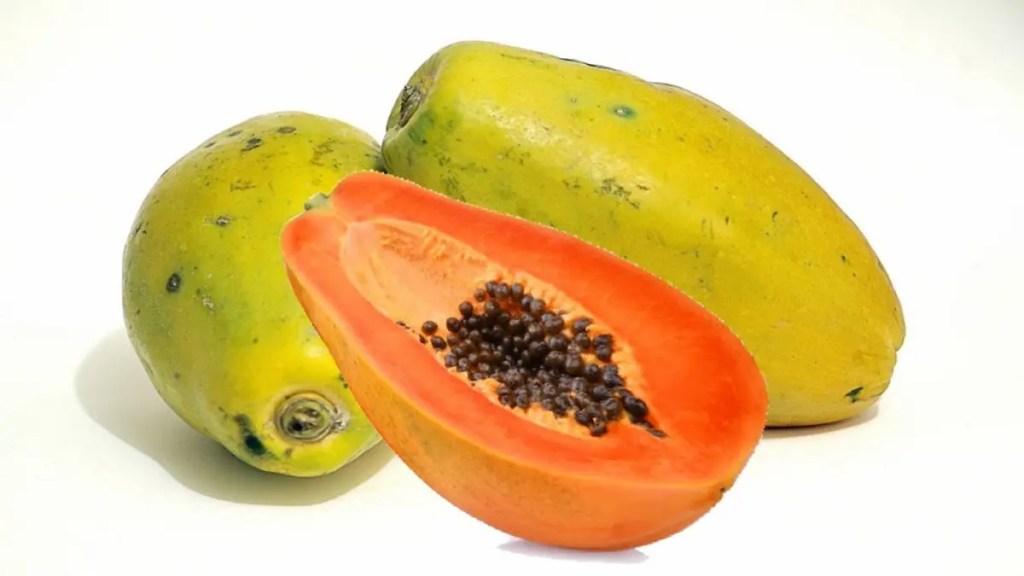 store papaya