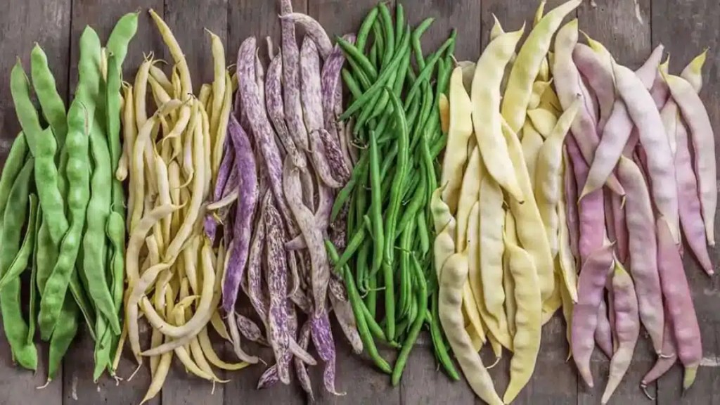 Types of Green Beans
