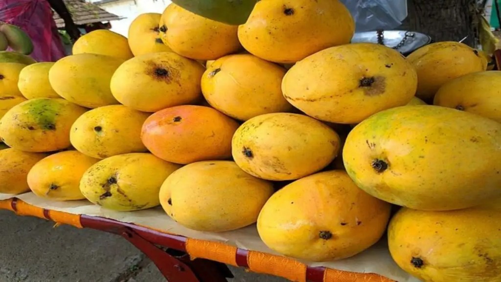 Mango Peel Benefits